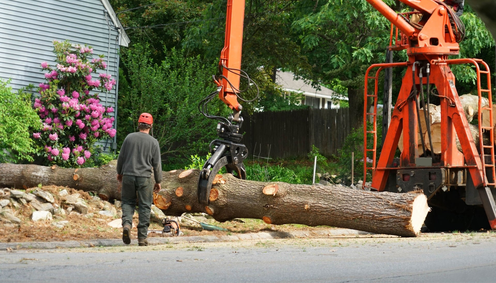 A tree stump has fallen and needs tree removal services in Denton, TX.