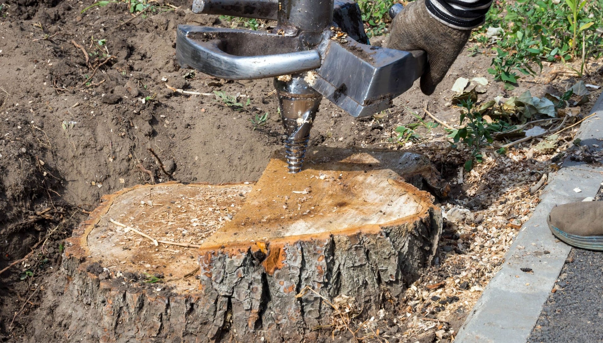 A stump grinding expert wearing work gloves for project in Denton, TX.